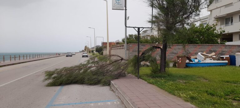 Capo d’Orlando – Raffiche di vento fino a 120km/h. Tetti scoperchiati, alberi sradicati: danni e disagi