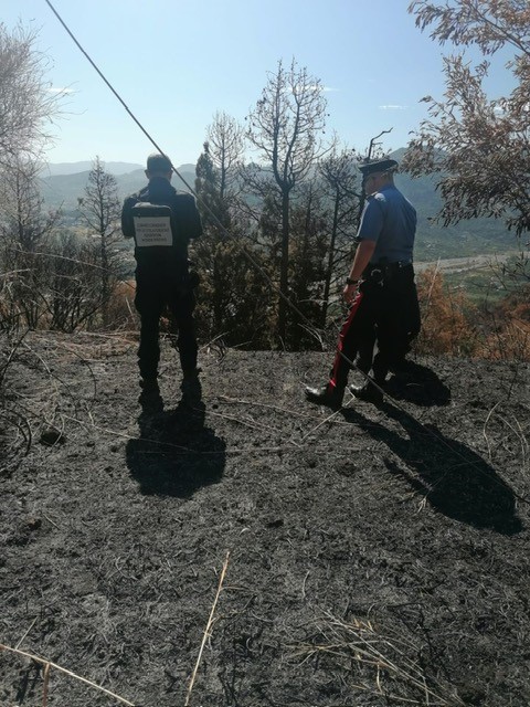 Incendio a Barcellona Pozzo di Gotto del 25 luglio, sopralluogo dei Carabinieri. Si cercano tracce dei piromani