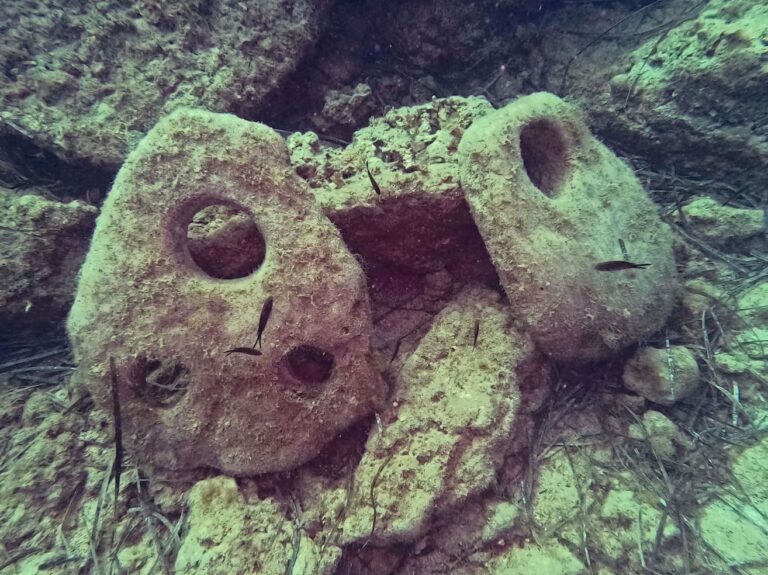 Beni culturali, ritrovate due antiche ancore nei fondali siracusano