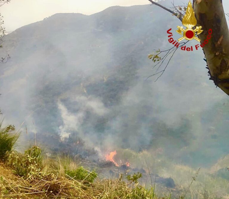 Santo Stefano Camastra, incendio in contrada Madonna delle Grazie e Rací. Fiamme domate dai Vigili del Fuoco