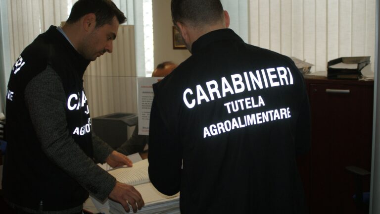 Truffa all’Agea, sequestro da 400.000€ nei confronti di tre imprenditori agricoli del messinese