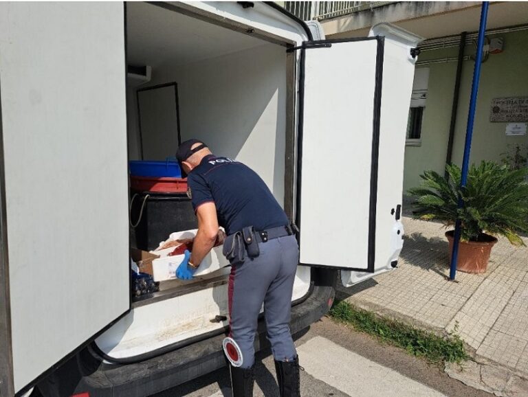 Barcellona Pozzo di Gotto: sequestrato un quintale di pesce senza tracciabilità