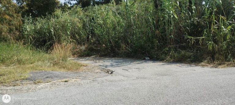 Pace del Mela: rinvenuto il cadavere di un uomo. La vittima è un 42enne. Ipotesi omicidio