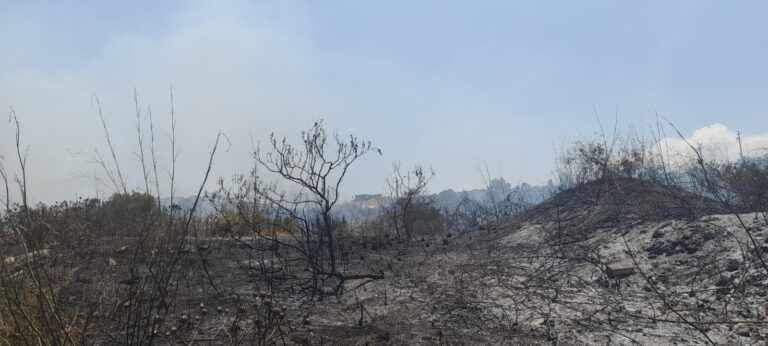 Patti – Incendio in c.da Cuturi, si ringrazia la buona sorte e le forze dell’ordine. Necessario un controllo accurato sui terreni