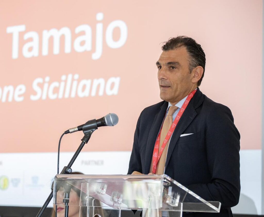 Edy Tamajo