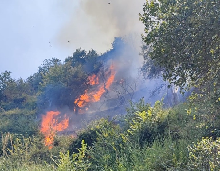Librizzi: otto ore per spegnere il rogo in contrada Ponte Murmari