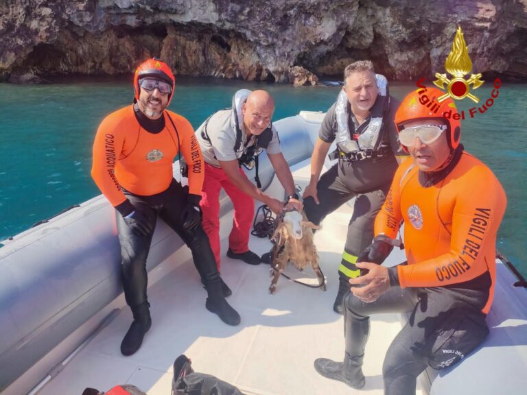 Vulcano, capretta resta bloccata su costone. La salvano i Vigili del Fuoco