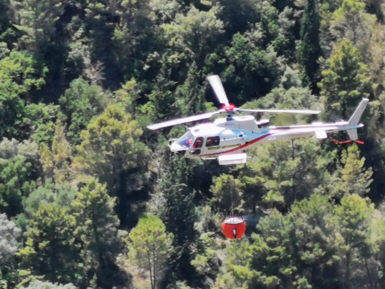 Sicilia – Oltre 3700 incendi registrati dal 15 maggio. Gli interventi del Corpo Forestale