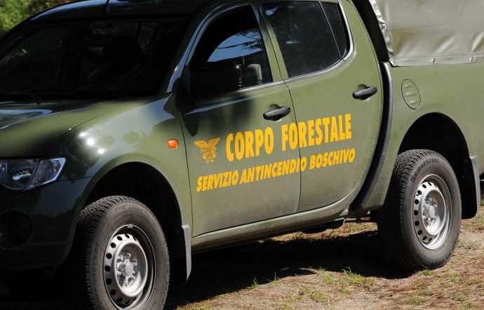 1563479588622.jpg--ars__ok_ad_articolo_su_corpo_forestale__musumeci___ora_i_concorsi_