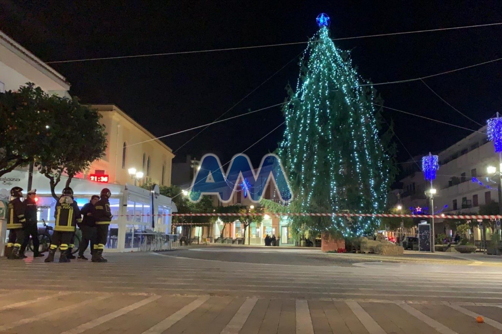 Albero piazza recintato