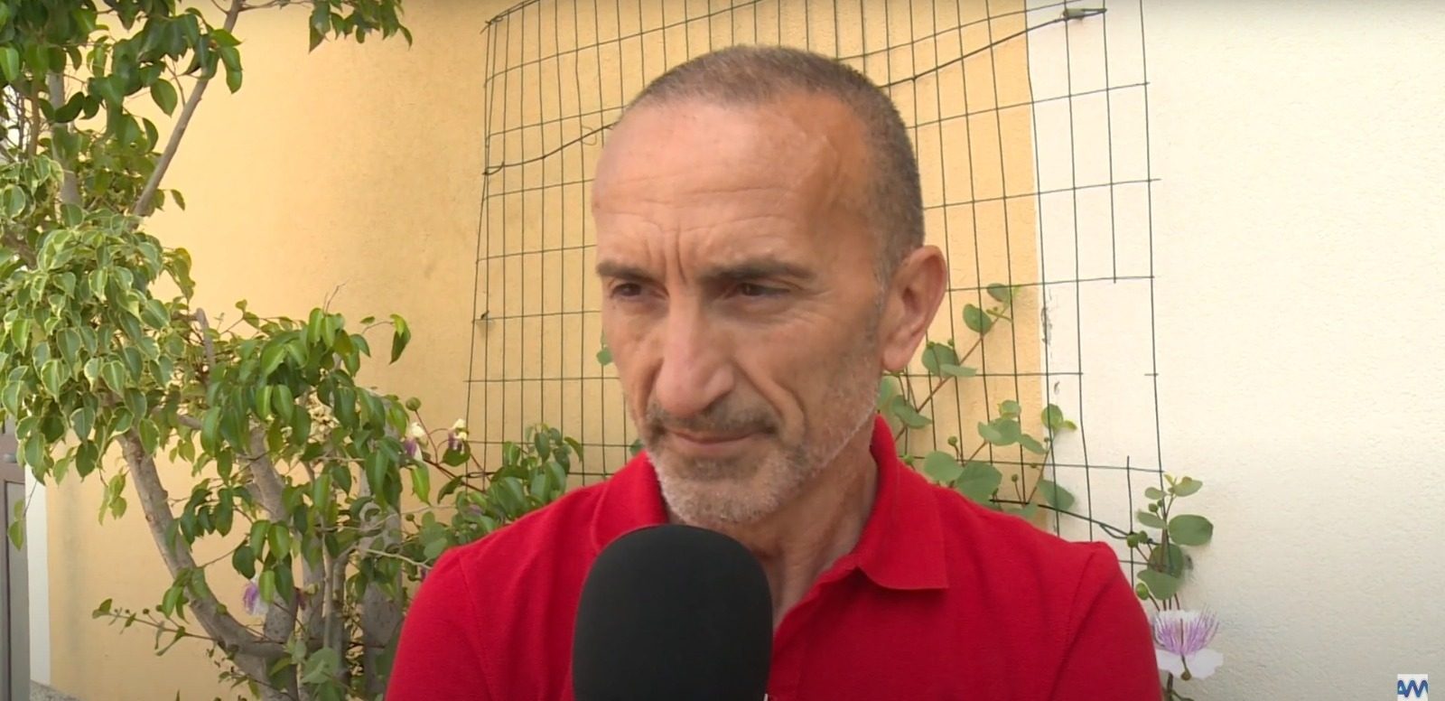massimo bontempo