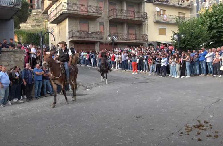capizzi bidi 2024